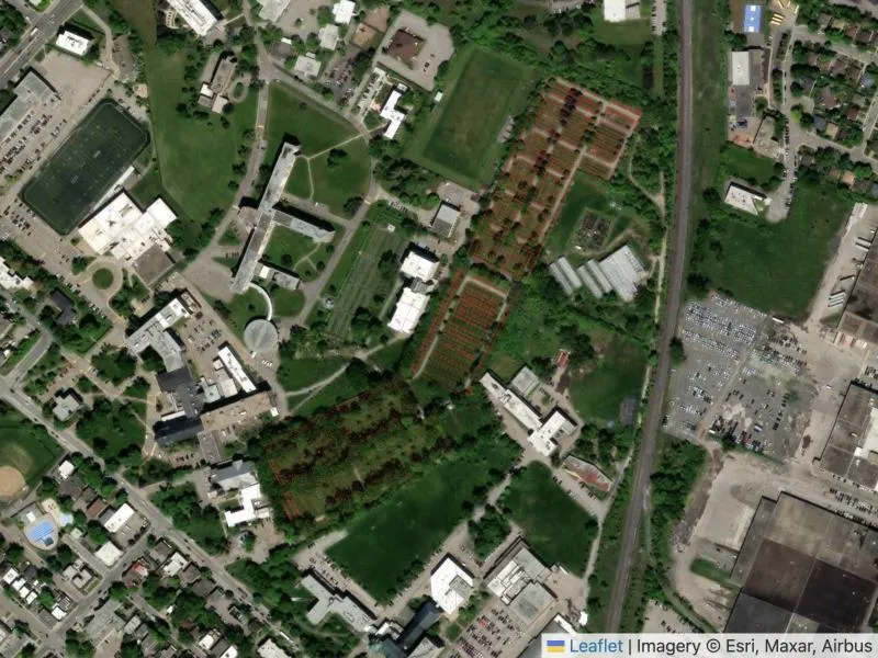 The plan made transparent and laid over a satellite image of the cemetery